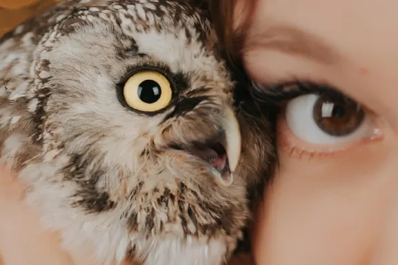 ΠλαιΧαμπ Καζίνο Υποστηριξη